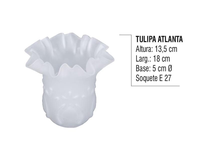 Tulipa Atlanta
